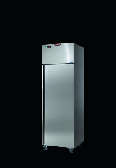 Armario Congelador 400 BT 294L